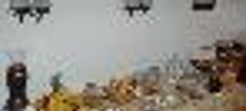 Phòng ngủ 6 Royal Palace Brazil