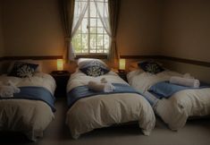 Others 5 White Silver Hakuba