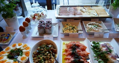 Lainnya 2 Hotel Opole Centrum