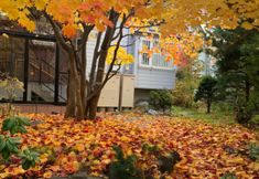 Others 2 HDO Sumikawa Villa