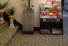 Others 4 Kyoung Dong Hotel Myeongdong