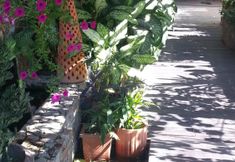 Others 6 Daisy Residence