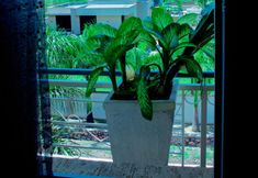 Lain-lain 4 Kinindo Light Hotel