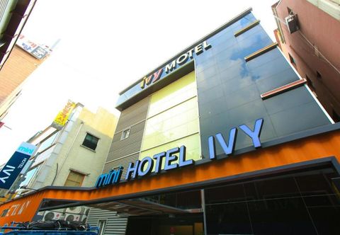 Others mini hotel IVY