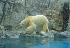 Lain-lain 5 Seiko Grand Hotel