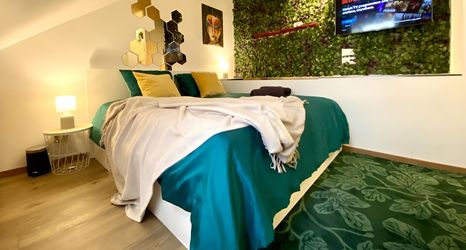 其他 2 Beautiful 1BR Apt w View Historic Town