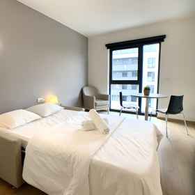 Fully Furnished Studio - City Center Belval1 , 飯店贝瓦尔大学