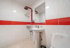 기타 6 Suyu Windsor