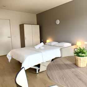 Modern Spacious Studio Near Rockhal DT 1, Apartment Schifflange