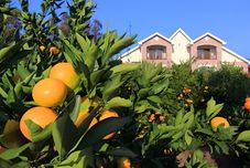 Others Seoguipo Lucky Clover Pension