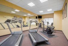 Fitness Center Holiday Inn MINNEAPOLIS NW-ELK RIVER, an IHG Hotel
