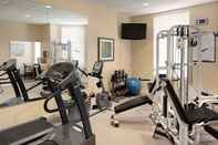 Fitness Center Staybridge Suites ATLANTA-BUCKHEAD, an IHG Hotel