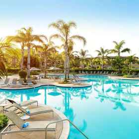 Pool 1 Hilton Grand Vacations Club MarBrisa Carlsbad, Sleeping Tiger Coffees Hotels