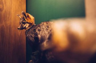 Others 4 Motto by Hilton Washington DC City Center