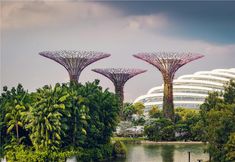 その他 2 Conrad Singapore Marina Bay