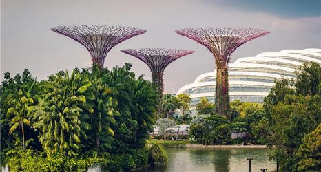 その他 2 Conrad Singapore Marina Bay