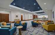 Lainnya 3 Hilton Garden Inn Houston Medical Center