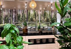 기타 6 Spark by Hilton Pobierowo