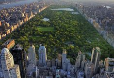 Others 7 Sofitel New York