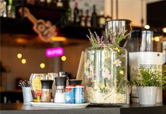 Khác 6 ibis Valencia Bonaire Aeropuerto