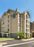 Exterior Homewood Suites by Hilton Austin-South/Airport