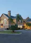 Exterior Homewood Suites by Hilton St Petersburg Clearwater