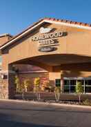 Exterior Homewood Suites by Hilton El Paso Airport