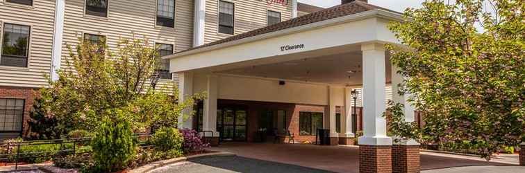 Others Hampton Inn Hadley-Amherst Area