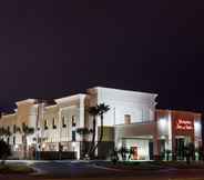 Others 4 Hampton Inn and Suites Harlingen