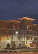 Exterior Homewood Suites by Hilton Mobile I-65/Airport Blvd  AL