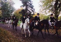 その他 3 Hampton Inn Geneseo