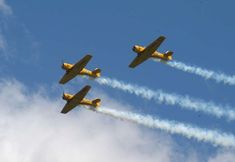 その他 7 Hampton Inn Geneseo