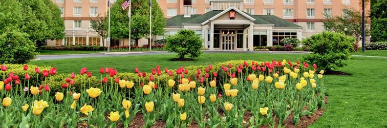 その他 Hilton Garden Inn Albany Airport