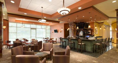 Others 2 Embassy Suites by Hilton Dallas Frisco Convention Ctr - Spa