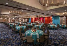 기타 6 Hilton Bellevue