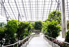 其他 6 DoubleTree by Hilton Rochester