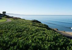 其他 6 DoubleTree by Hilton San Diego - Del Mar