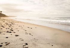 其他 5 Cape Rey Carlsbad Beach  a Hilton Resort and Spa