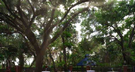 Others 2 Hilton Garden Inn Tampa East/Brandon