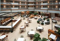 Others 4 Embassy Suites by Hilton Dulles North Loudoun