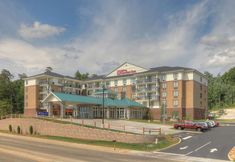 기타 5 Hilton Garden Inn Pigeon Forge