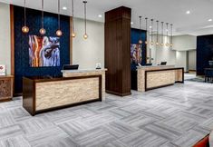 기타 3 DoubleTree by Hilton Arlington DFW South