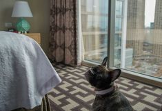 Others 5 Homewood Suites by Hilton Chicago West Loop Fulton Mkt Area