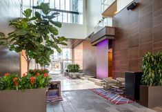 その他 5 Embassy Suites by Hilton Seattle Downtown Pioneer Square