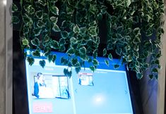 Others 5 number25hotel suyu