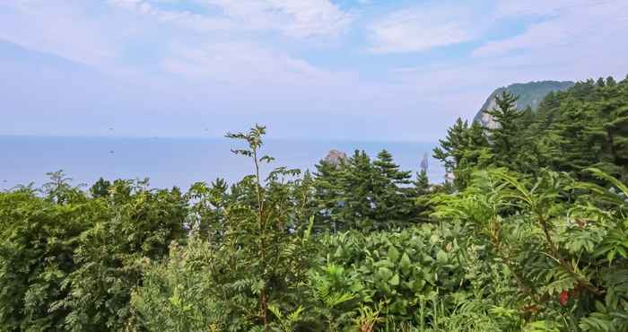 Khác Ulleungdo Nari Pension