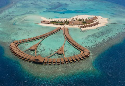 Others Cinnamon Velifushi Maldives CACHE transfer included