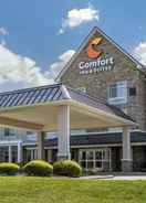 null Comfort Inn and Suites Dover