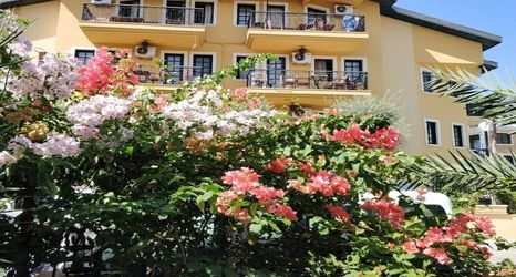 Others 2 T and G Apart