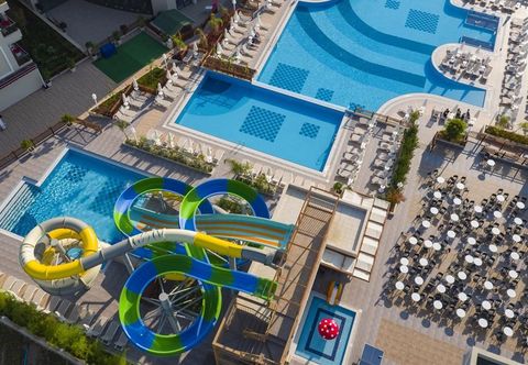 其他 Seashell Vega